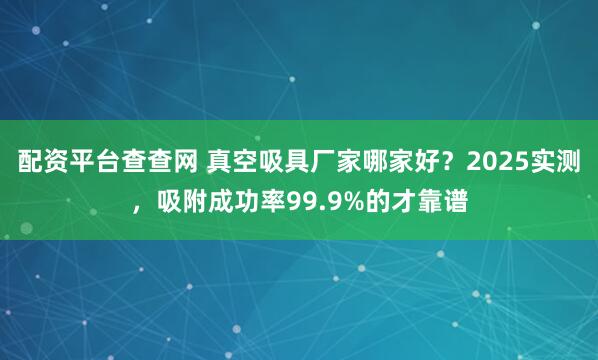 配资平台查查网 真空吸具厂家哪家好?2025实测,吸附成功率99.9%的才靠谱